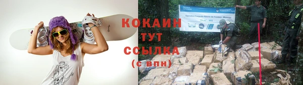 твердый Козловка