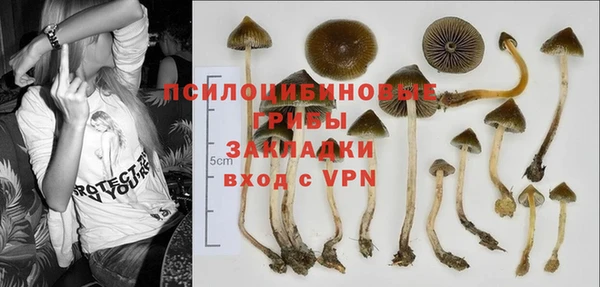 твердый Козловка