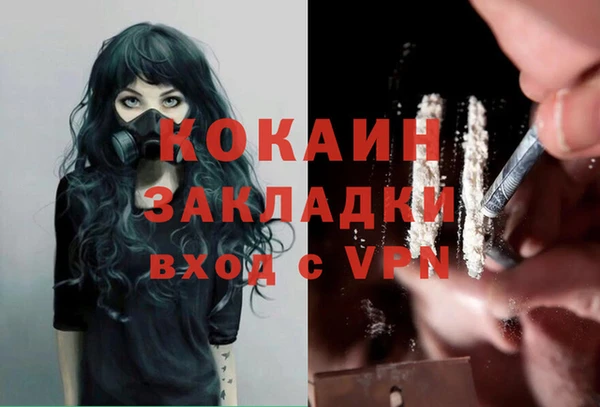 твердый Козловка